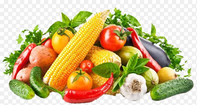 ʵ��ˮ���߲�-������