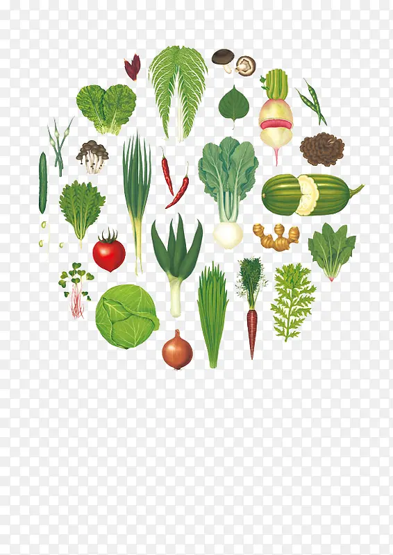 �ֻ��߲�-������