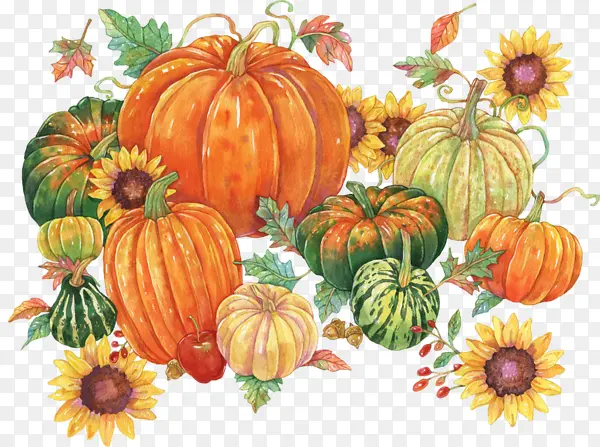 ˮ���Ϲ�-������