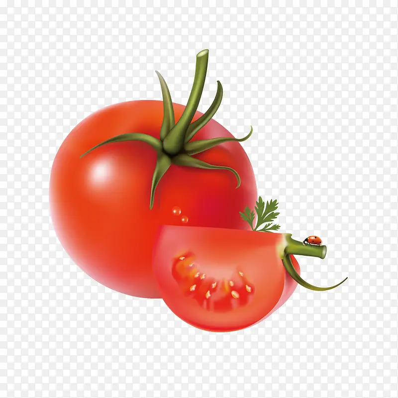 �ֻ�������-������