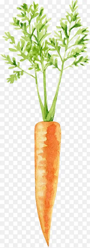 ��ͨ�ֻ��߲�װ�κ�����ƺ��ܲ�-������