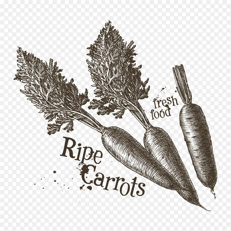 ʸ���ֻ���ܲ�-������