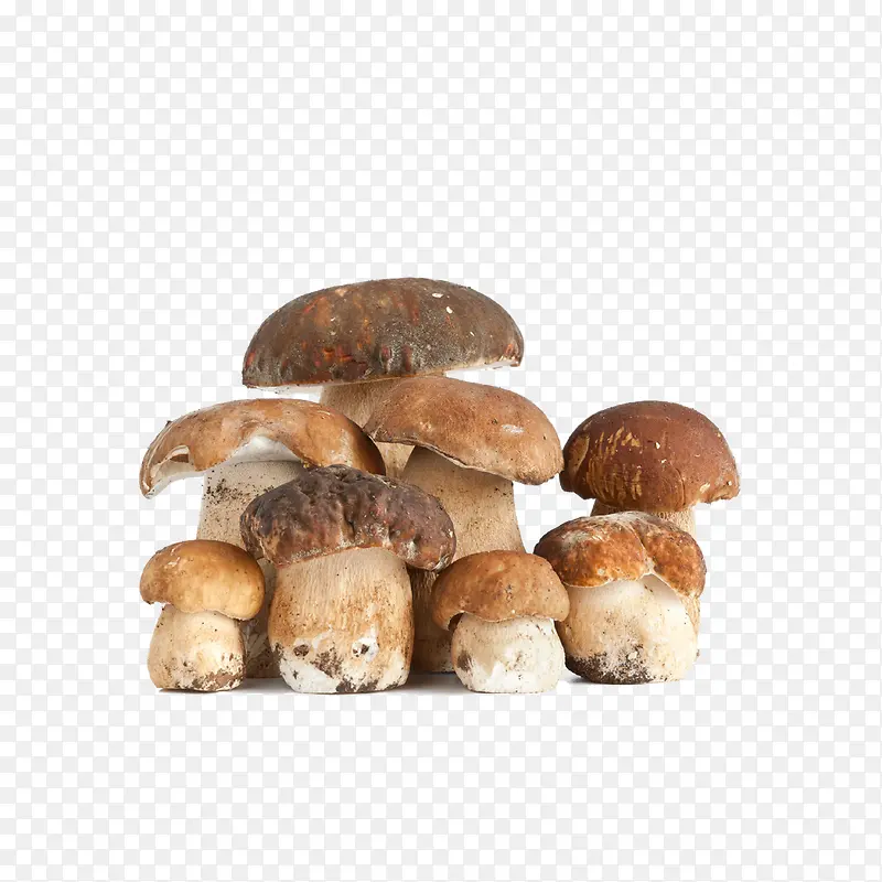 Ģ��-������