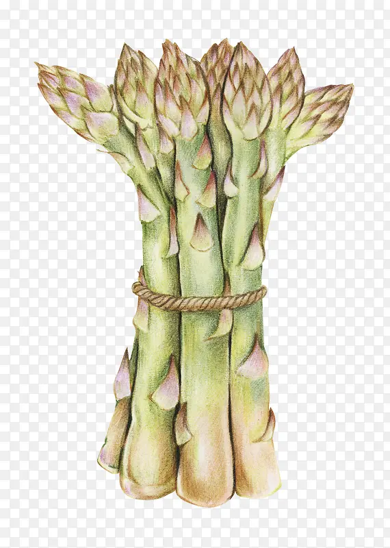 ��ͨ�ֻ��߲�װ�κ������-������