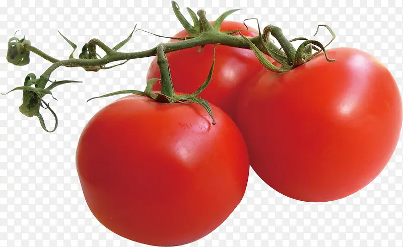 ������-������