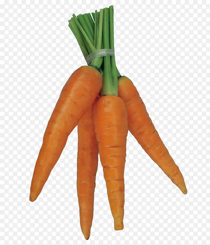 ���ܲ���ʳ�߲�-������