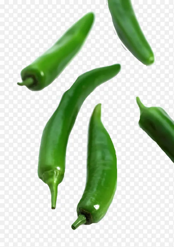 �߲˼⽷-������