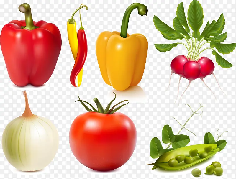 ʸ���߲�-������