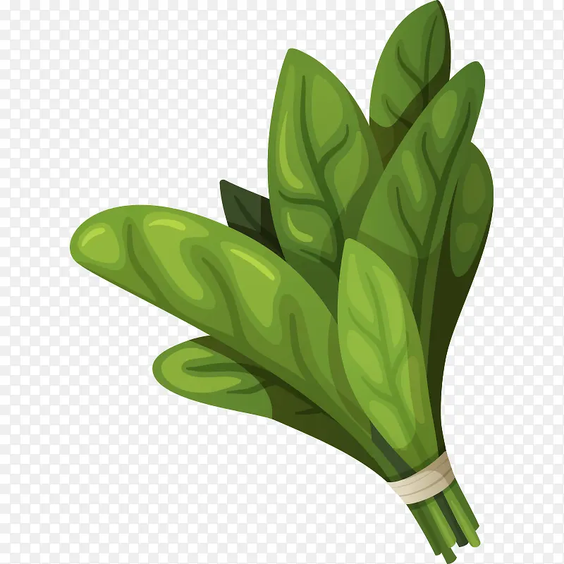 ʳ���ֻ�ʳ�� ��ʳ ��ͨʳ�� -������