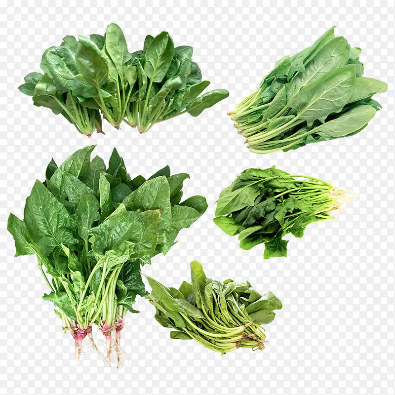 �߲�Ԫ������-������