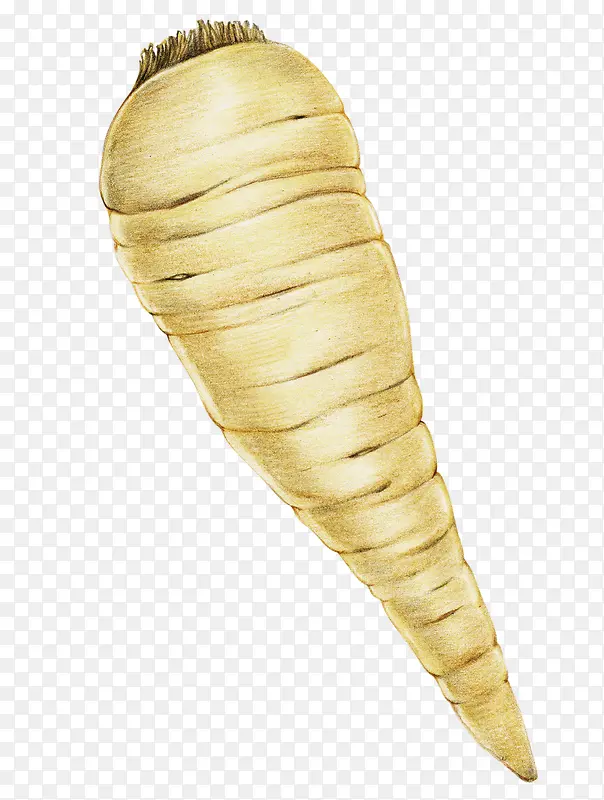 ��ͨ�ֻ��߲�װ�κ������-������