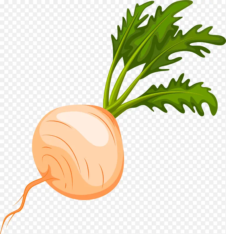 ��ͨ�ֻ��߲�װ�κ�������ܲ�-������