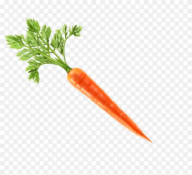 ���ܲ�-������