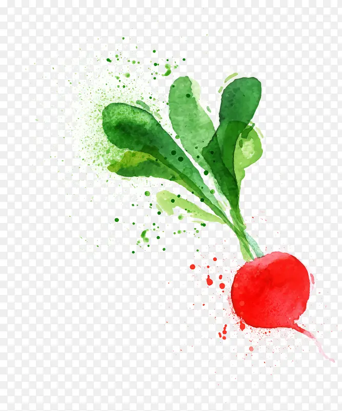 ��ͨˮ���߲�-������