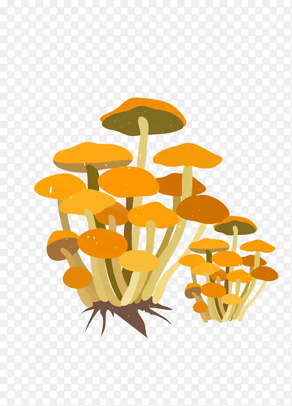 ��ͨ�ֻ��߲�װ�κ������-������