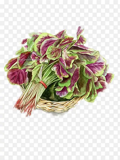 �Ȳ�-������