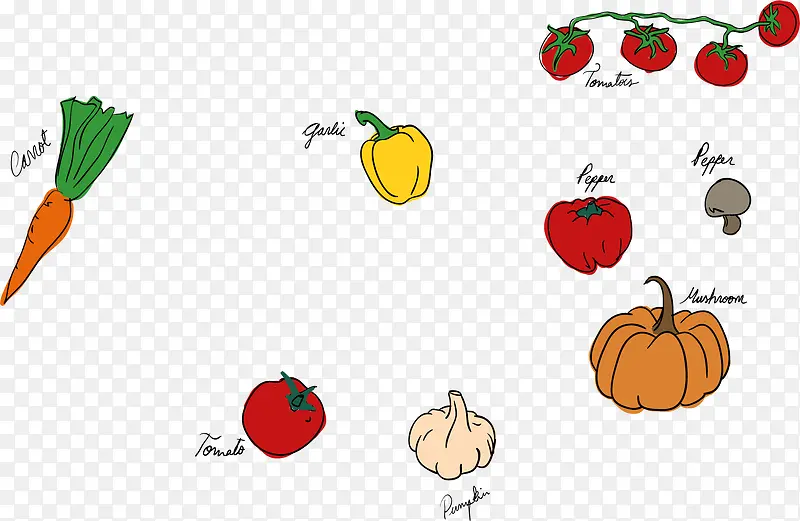 �ֻ��߲�ʸ���ز�-������