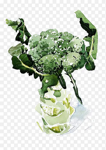 ˮ���߲�-������