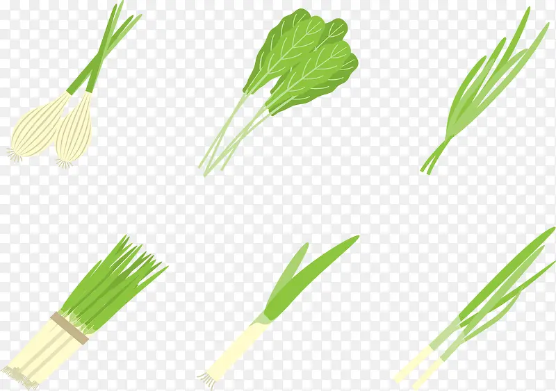 ʸ���߲�-������