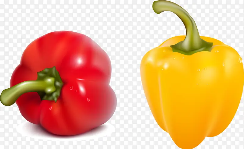 ʸ��Բ��-������