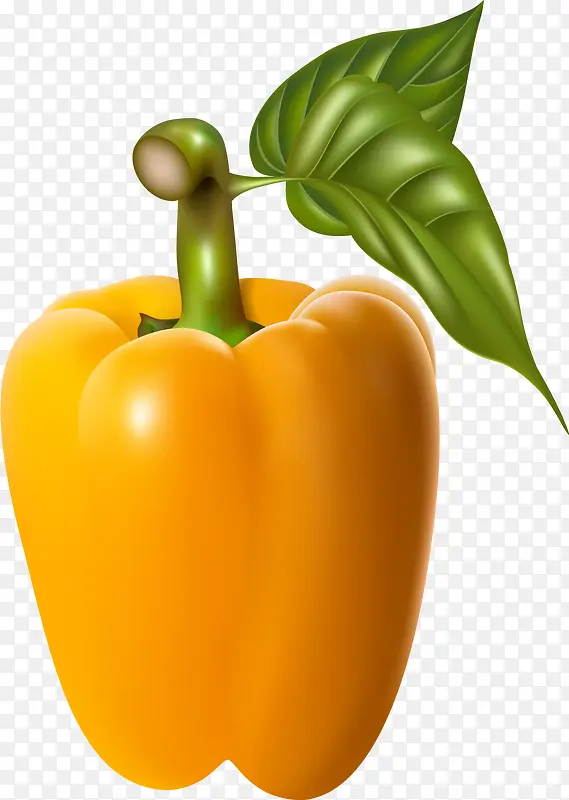 ʸ��Բ��-������