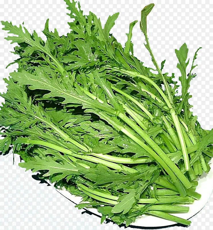 ����ʵ��-������