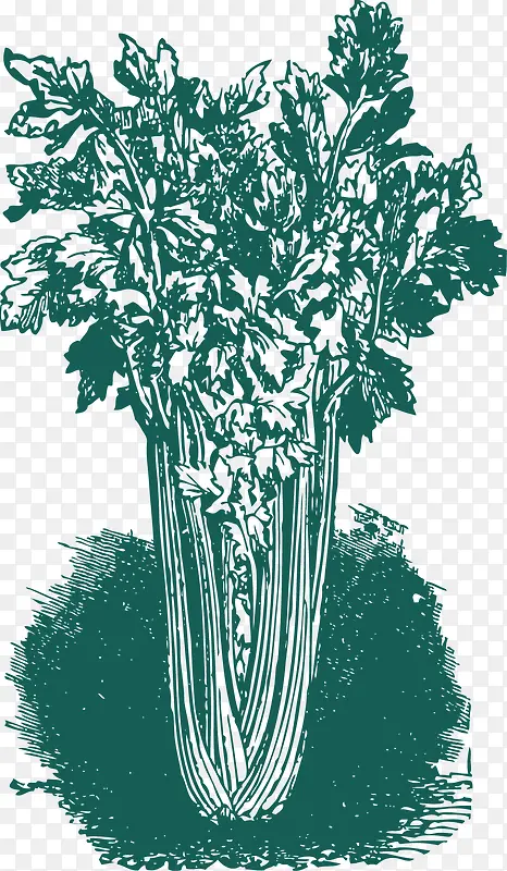 ʸ���߲�-������