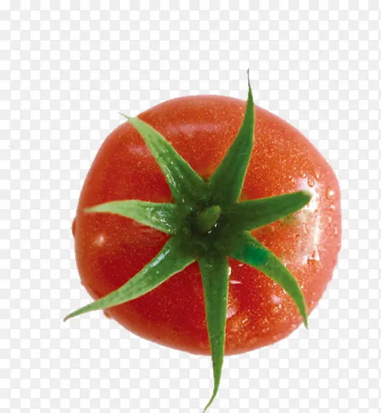 �߲˷���-������