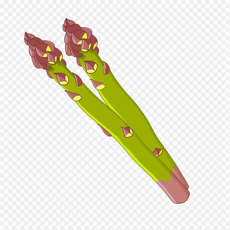 ��ͨ�߲�-������