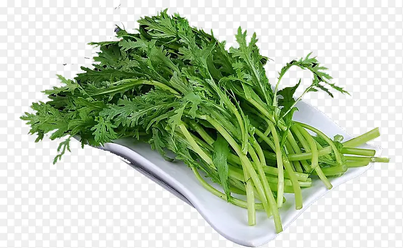 �����߲�-������