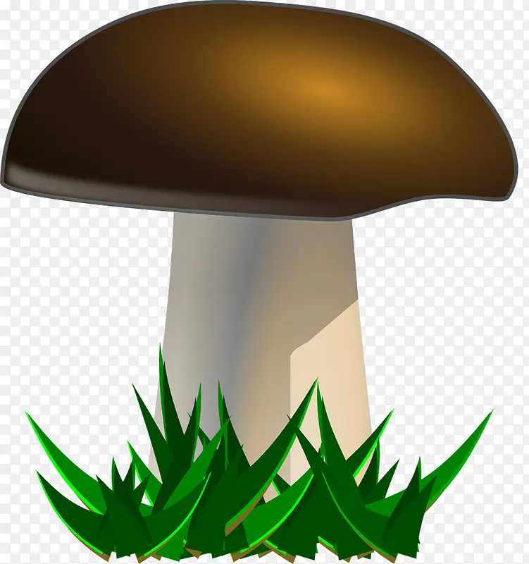 Ģ��-������