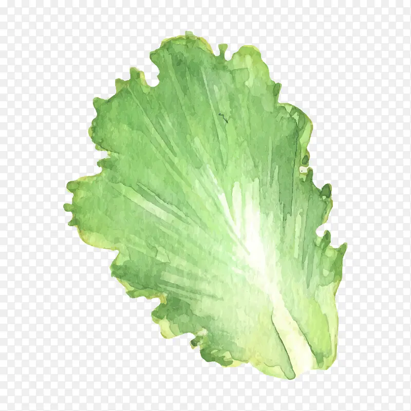 �ֻ��߲�-������