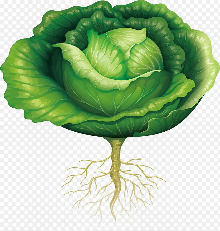 ���ʰ���-������