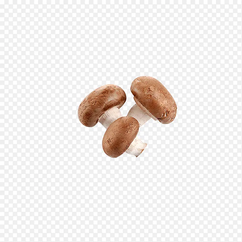 ʳ��Ģ��-������