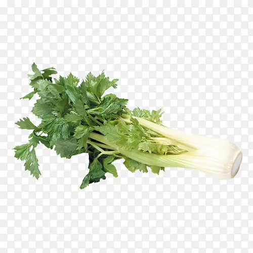 �߲�-������