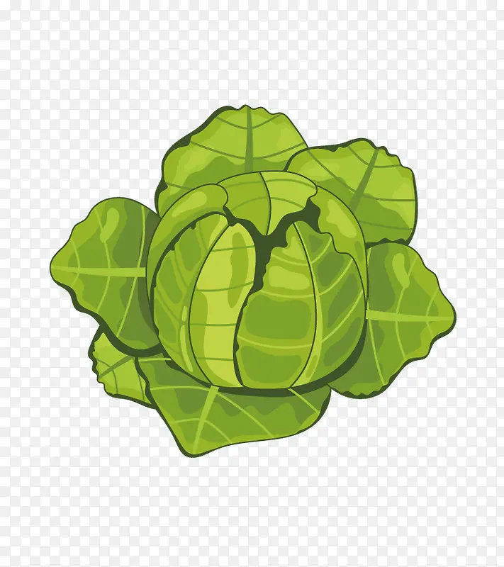 ��ͨ�߲�-������