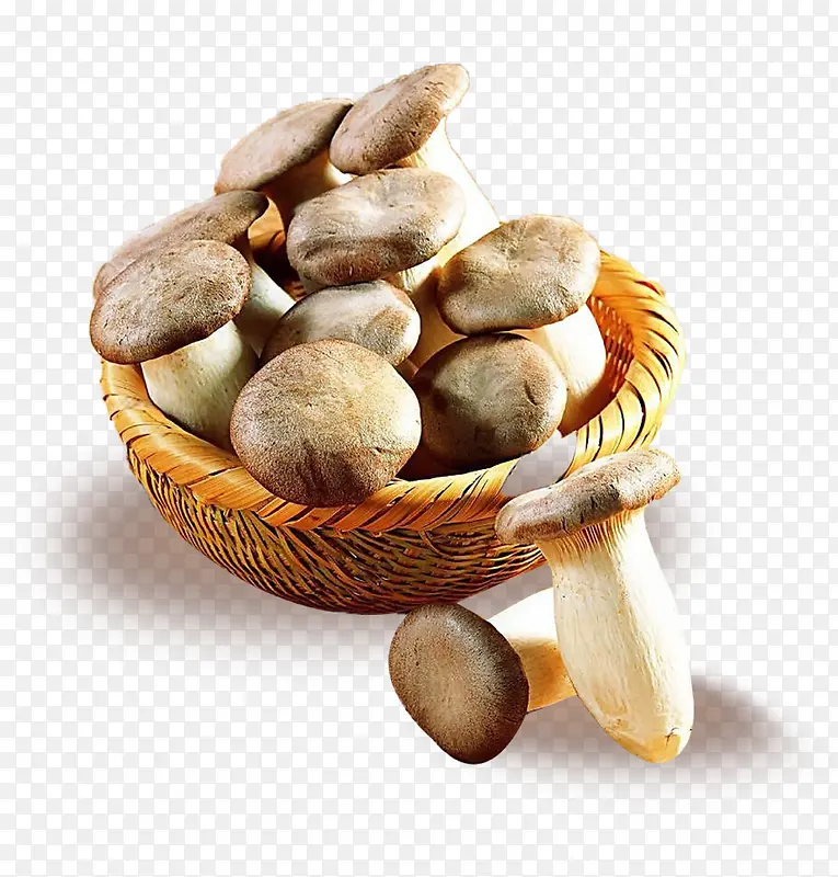 �߲�Ģ��-������