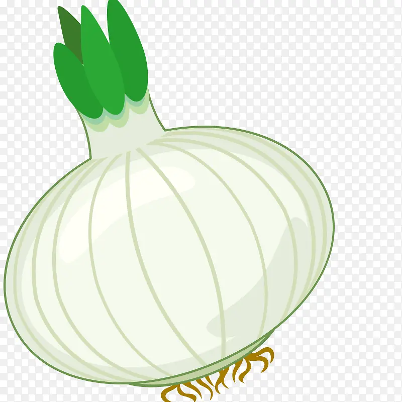 �߲� �߹� �Ϲ� ʳ�� ˮ��-������