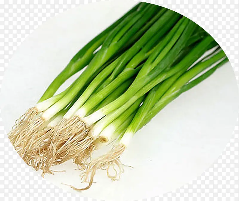 С��ʳ����ʳӪ��-������