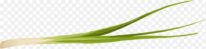 ��ͨ-������