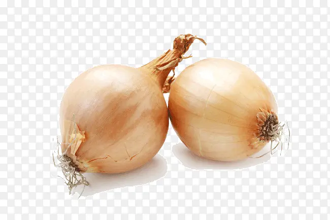 �߲�Բ��-������