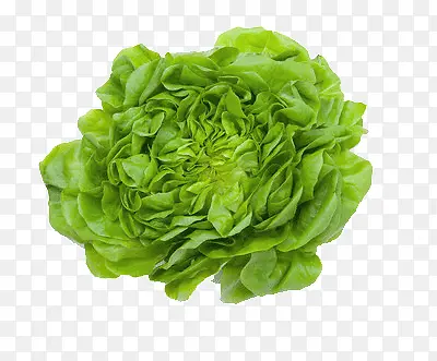 ����-������