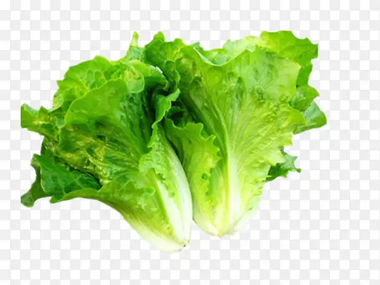 ����-������