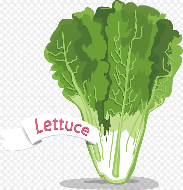 ݫ�������߲�ʸ���ز�-������