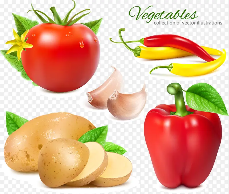 ʸ���߲�-������