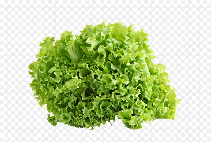 �߲�֮����-������