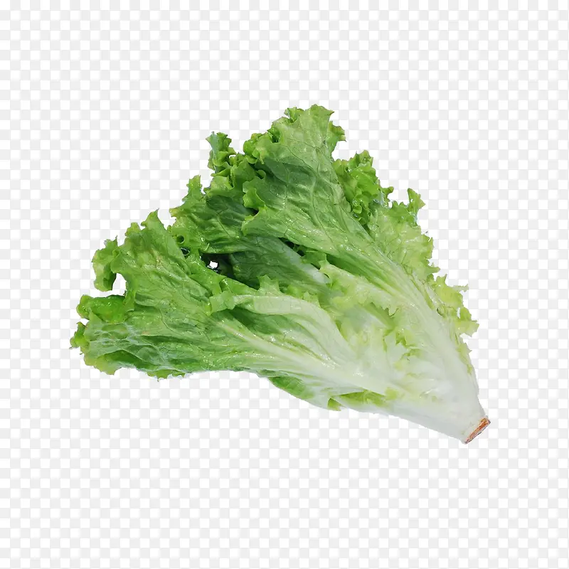 ����-������