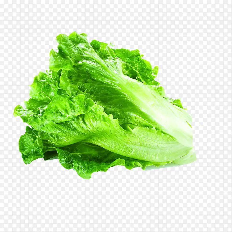 ����-������