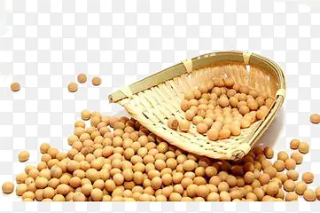 �ƶ�-������