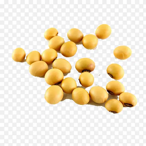 �ƶ�ʳ��-������